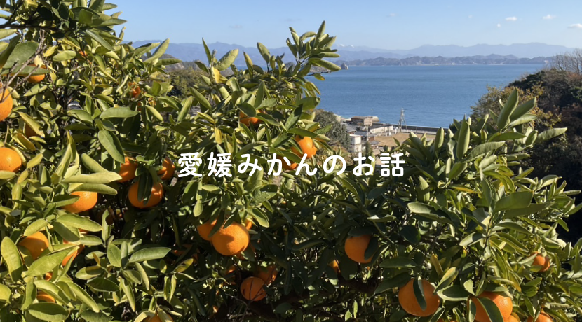 banner-area_01.png